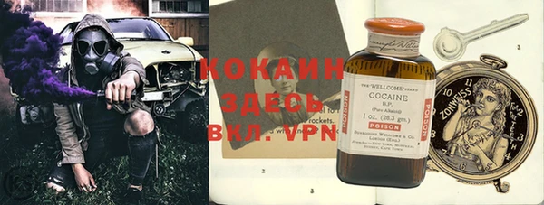 дживик Касимов